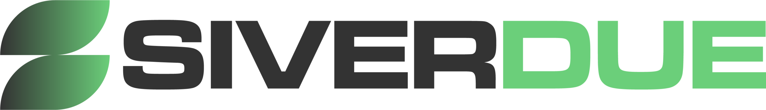 logo nero-siverdue logo nero-siverdue